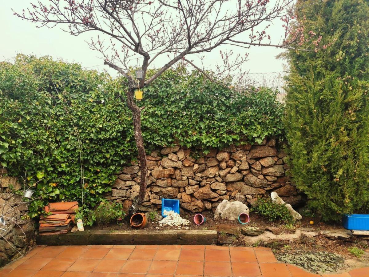 Casa Rural Alto Santiago Santiago del Collado Екстериор снимка