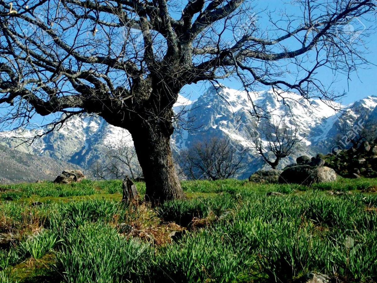 Casa Rural Alto Santiago Santiago del Collado Екстериор снимка